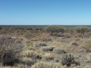 Picture of the Outback, Australia